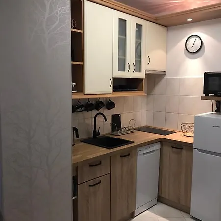 Karlikowski Apartment *